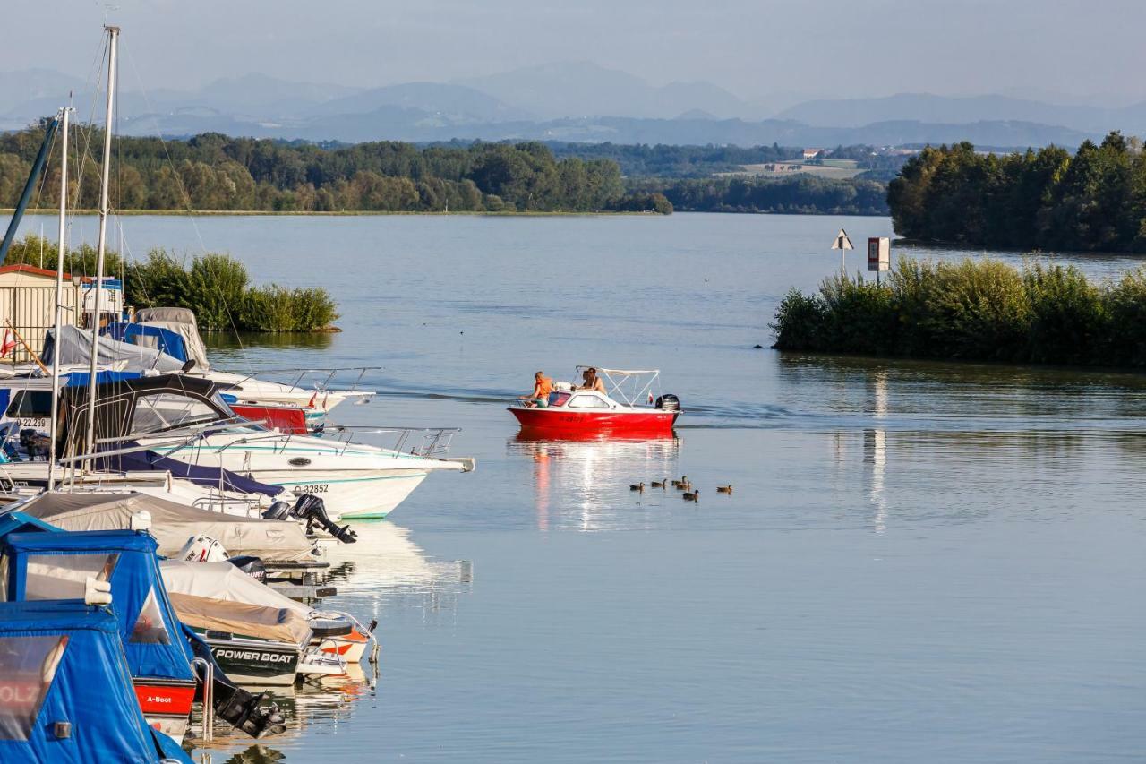 Camping & Pension Au An Der Donau Exterior photo