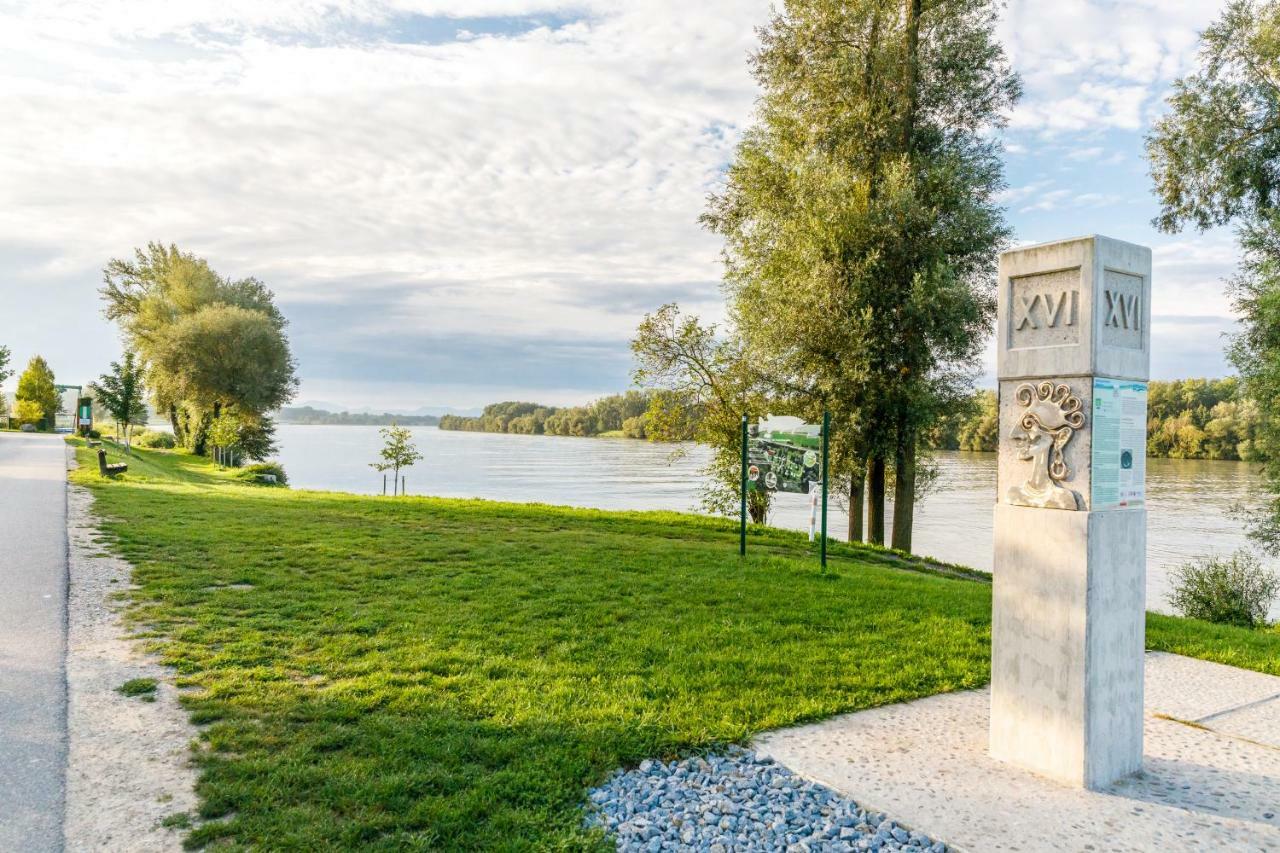Camping & Pension Au An Der Donau Exterior photo