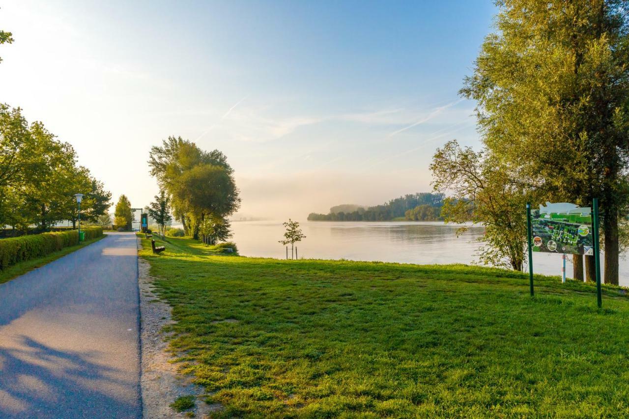 Camping & Pension Au An Der Donau Exterior photo