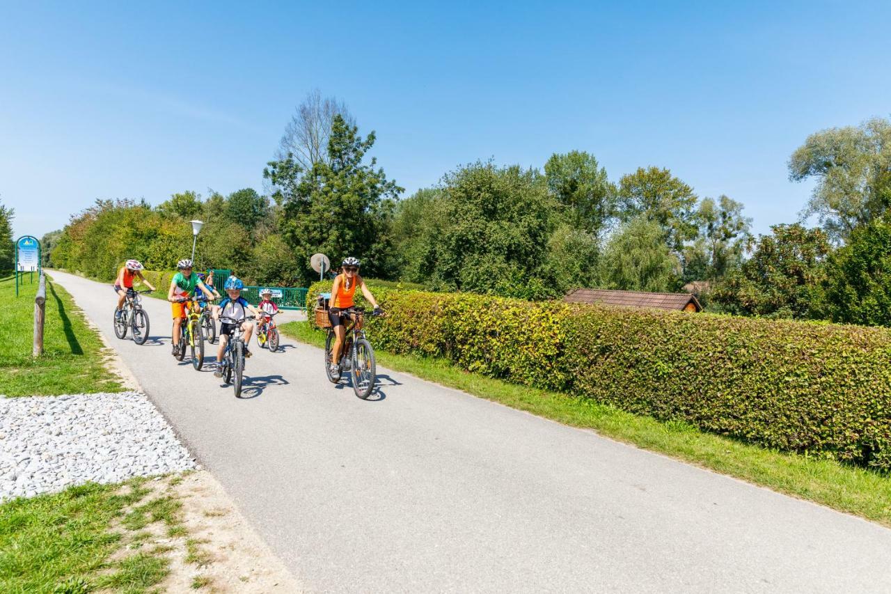 Camping & Pension Au An Der Donau Exterior photo